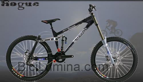 Ellsworth Rogue ficha técnica y opiniones